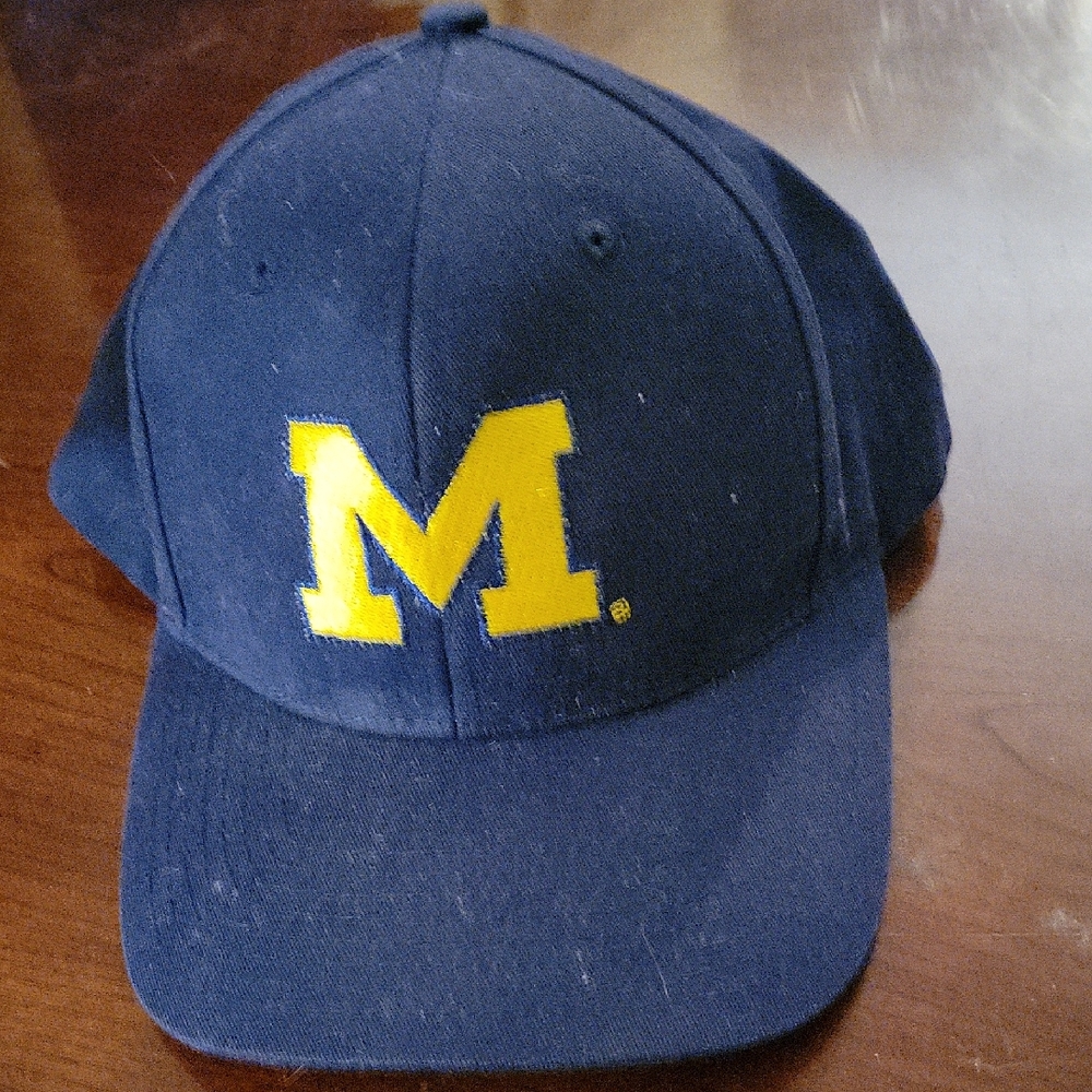 michigan wolverines Light Up Hat
